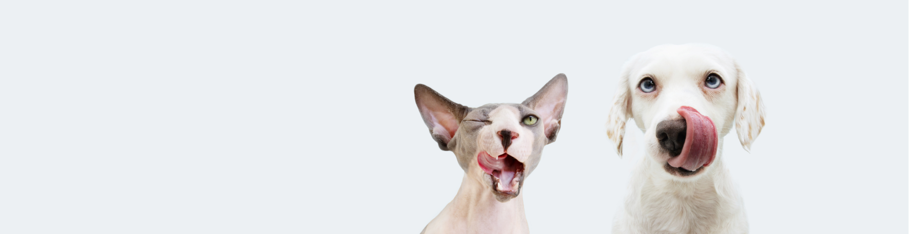 Mamy najlepsze promocje